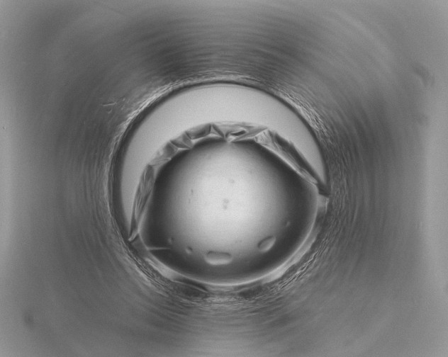 X0000116140350200912071247