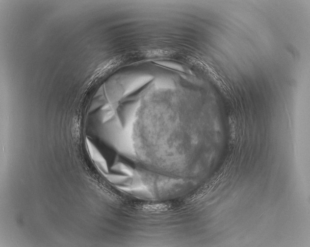 X0000116140357200912071248