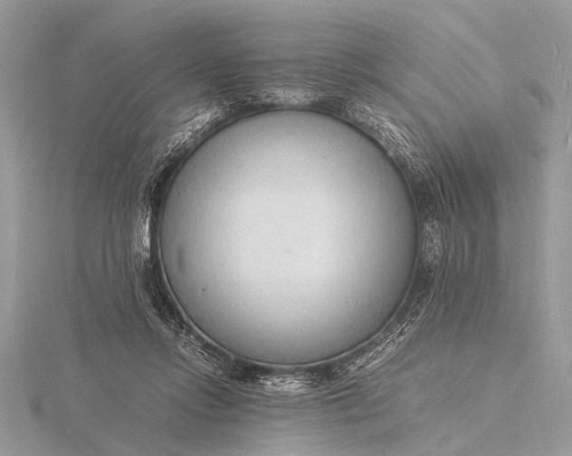 X0000116140358200912071248