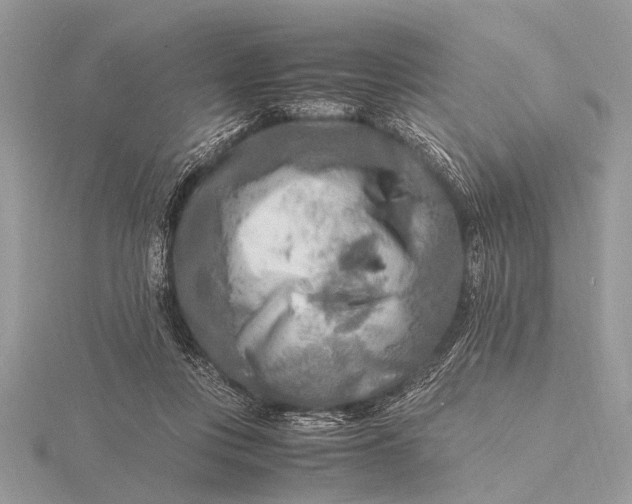 X0000116140359200912071248