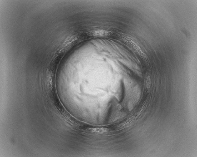 X0000116140363200912071248