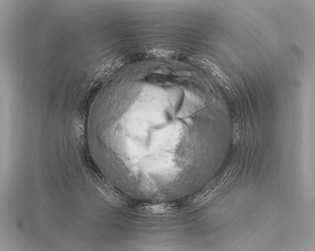 X0000116140365200912071248