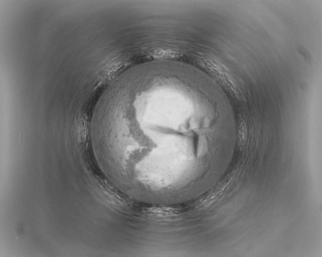 X0000116140367200912071248