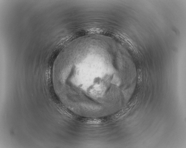 X0000116140369200912071248