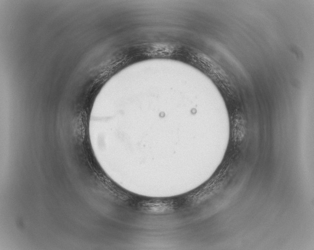 X0000116140370200912071248