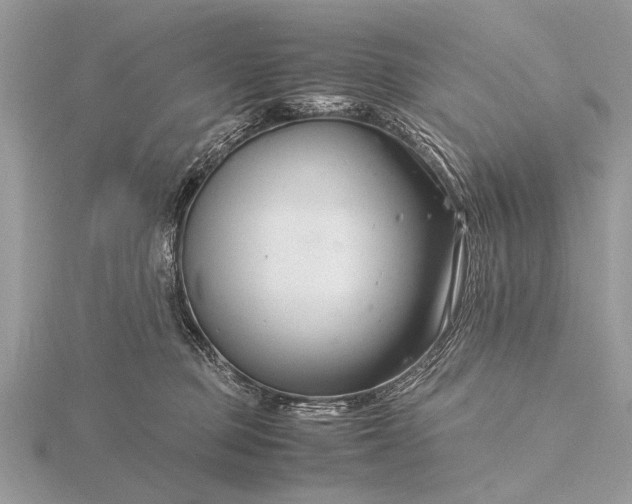 X0000116140373200912071248