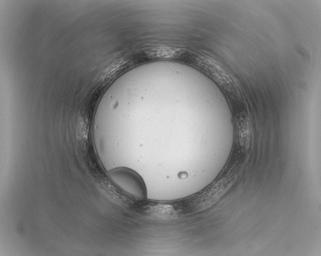 X0000116140374200912071248