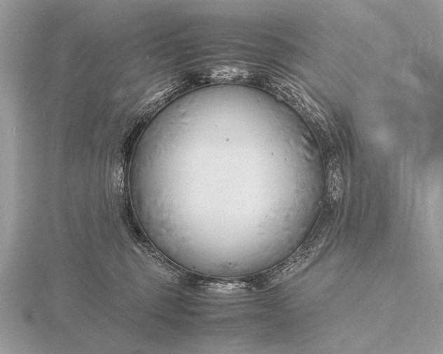 X0000116140375200912071248