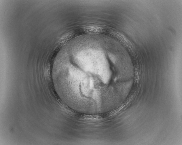 X0000116140377200912071248