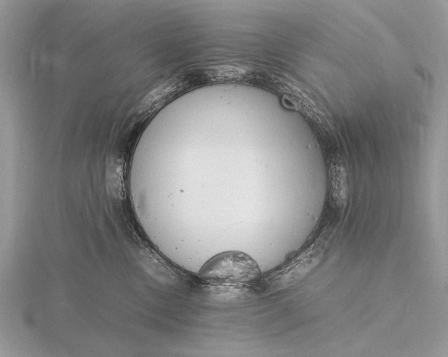 X0000116140378200912071248