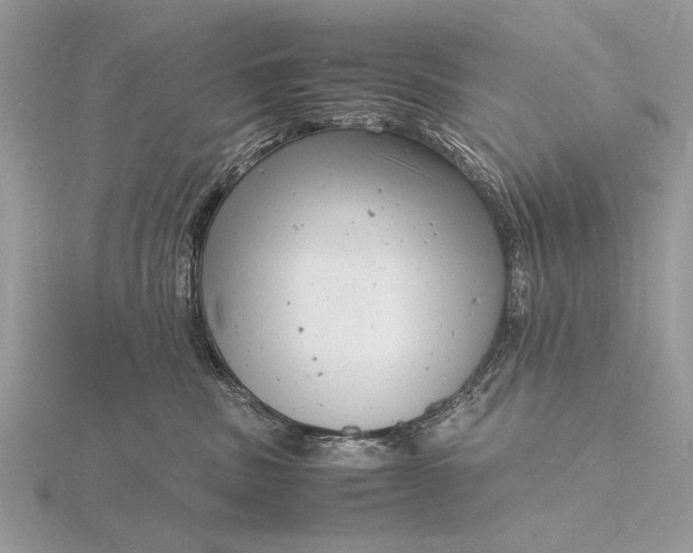 X0000116140379200912071248