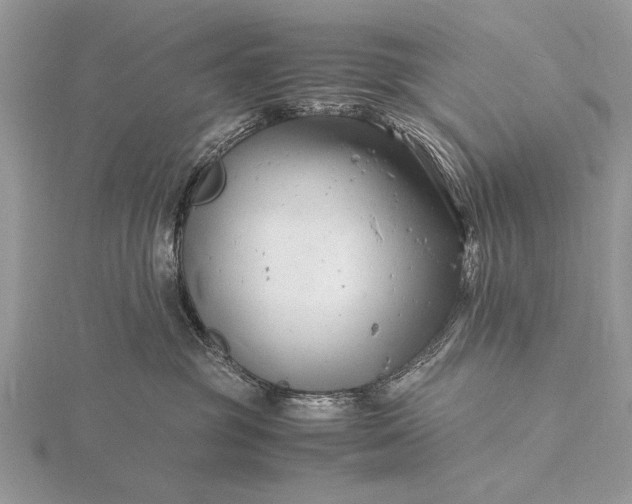 X0000116140381200912071248