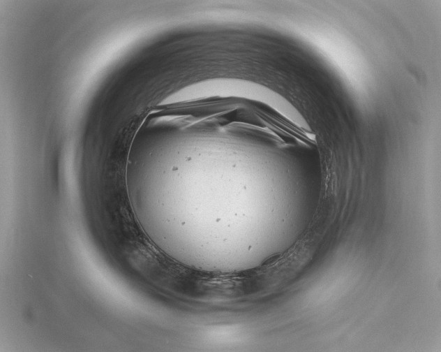 X0000116140383200912071248