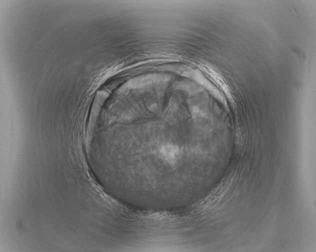 X0000116140385200912071247