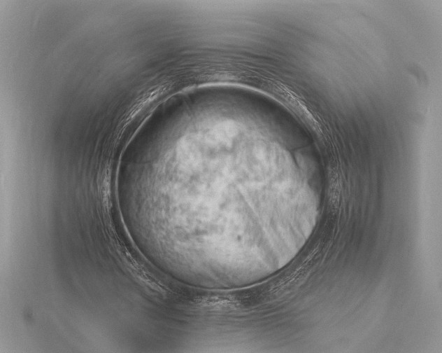 X0000116140386200912071247