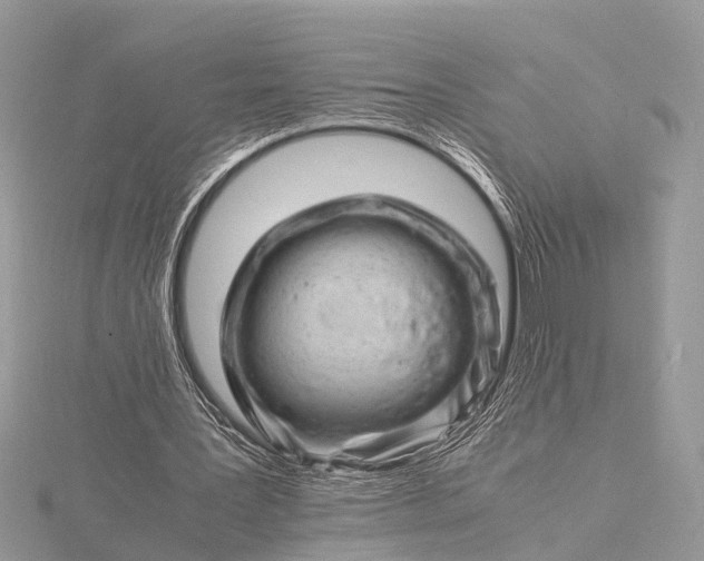 X0000116140387200912071247