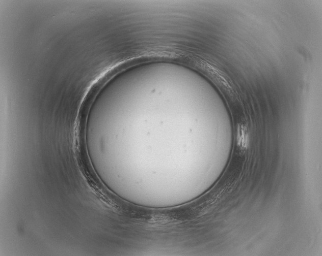 X0000116140388200912071247