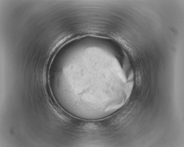 X0000116140390200912071247