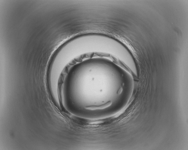 X0000116140391200912071247