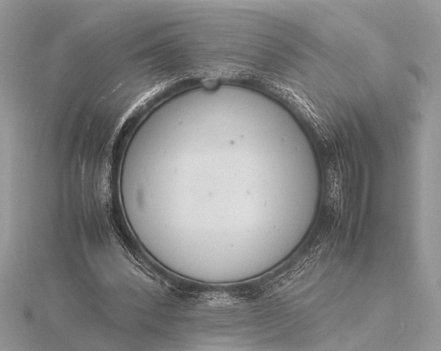 X0000116140392200912071247