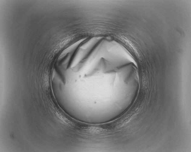 X0000116140393200912071247