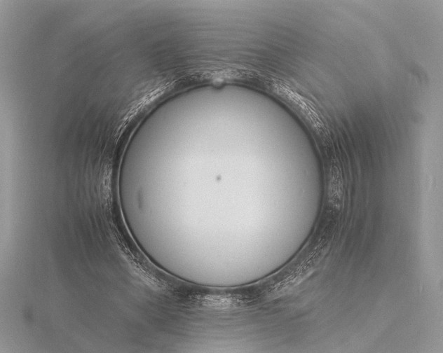 X0000116140394200912071247