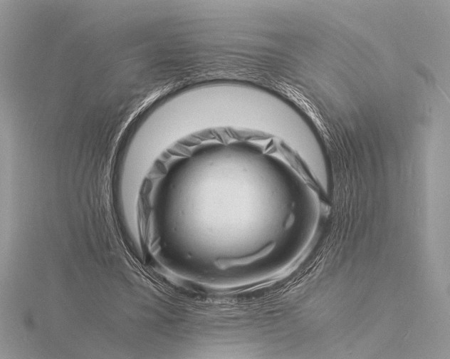 X0000116140395200912071247