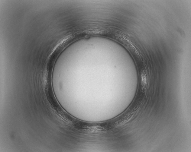 X0000116140396200912071247