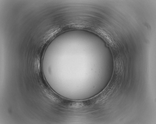 X0000116140398200912071247