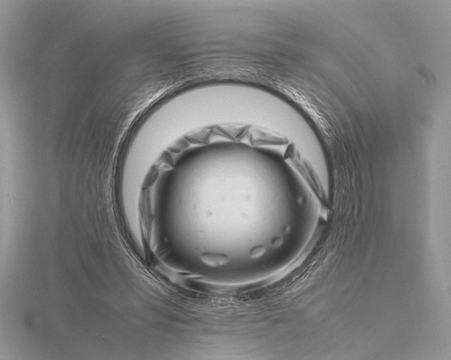 X0000116140399200912071247