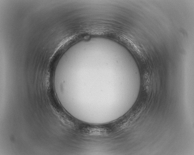 X0000116140400200912071247