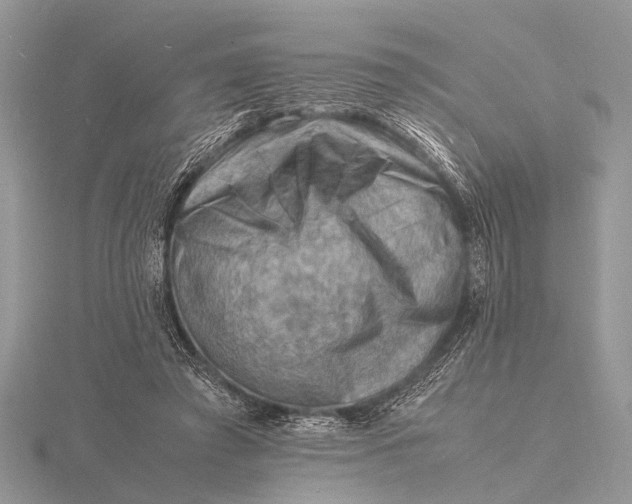 X0000116140401200912071247