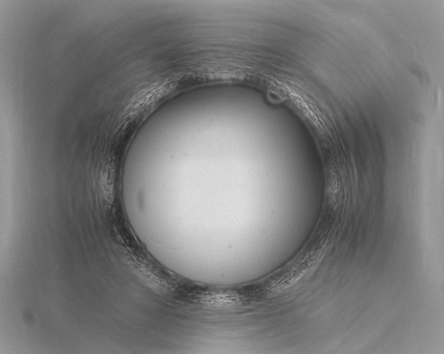 X0000116140402200912071247