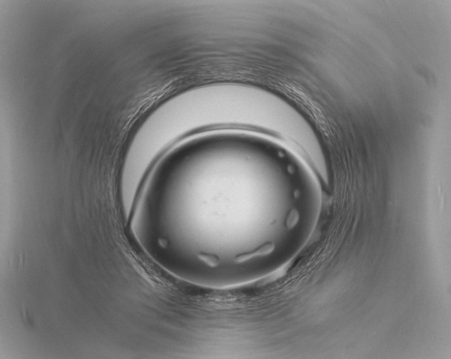 X0000116140405200912071247