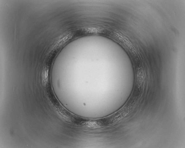 X0000116140406200912071247