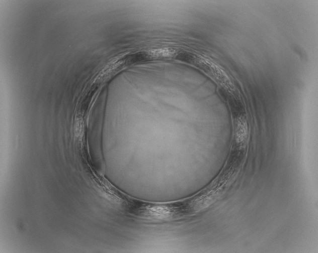 X0000116140409200912071247