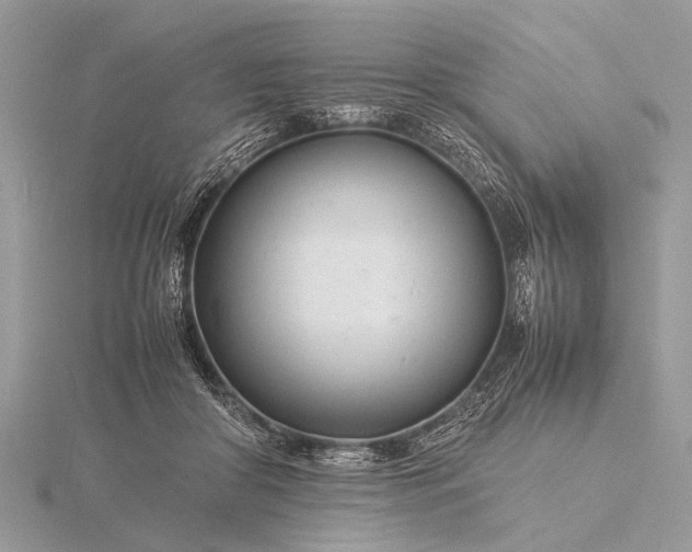 X0000116140410200912071247