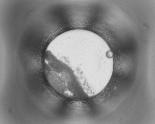 X0000116140411200912071247