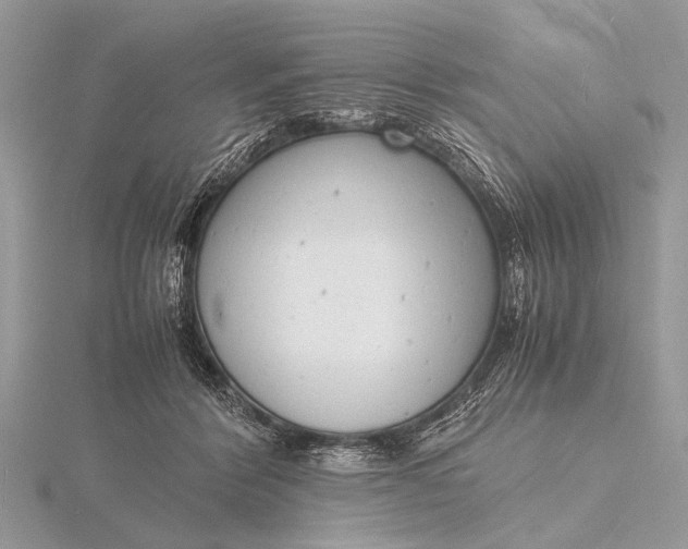 X0000116140412200912071247