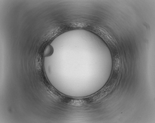 X0000116140414200912071247