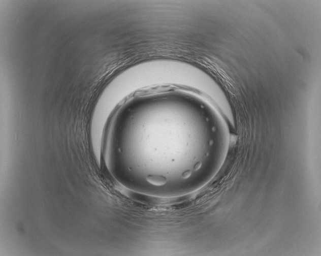 X0000116140415200912071247