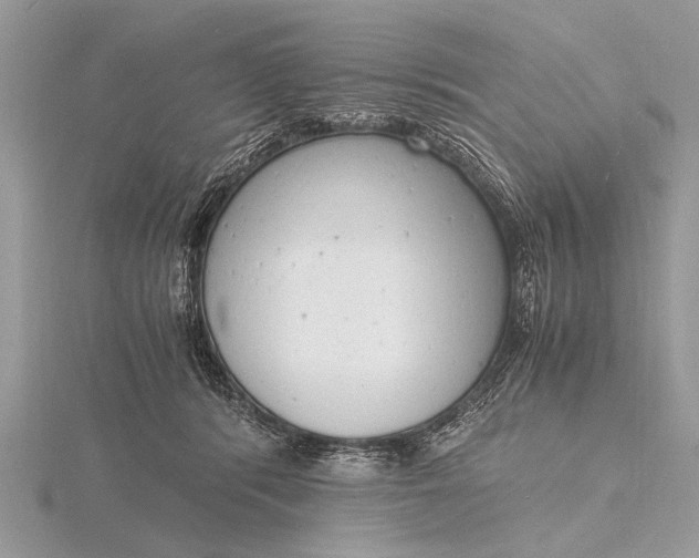 X0000116140416200912071247