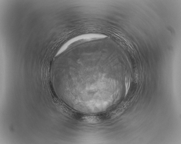 X0000116140417200912071247