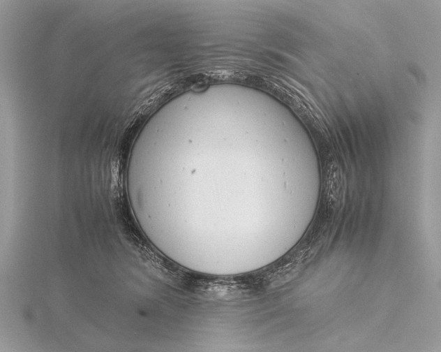 X0000116140420200912071247