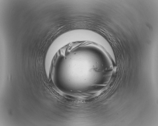 X0000116140421200912071247