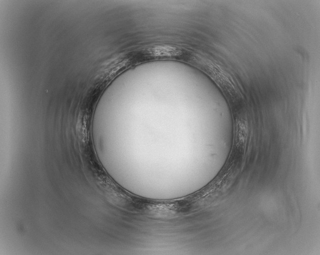 X0000116140422200912071247