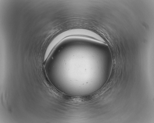 X0000116140423200912071247