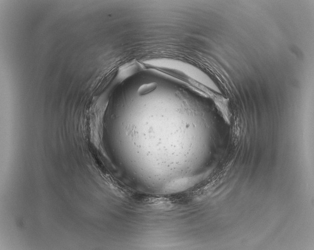 X0000116140424200912071247