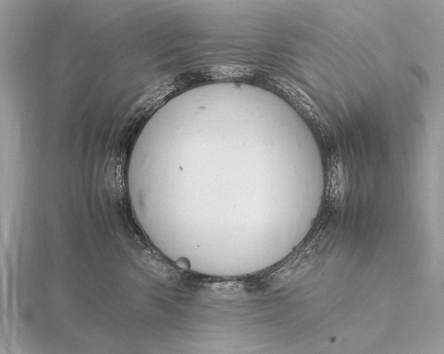 X0000116140426200912071247