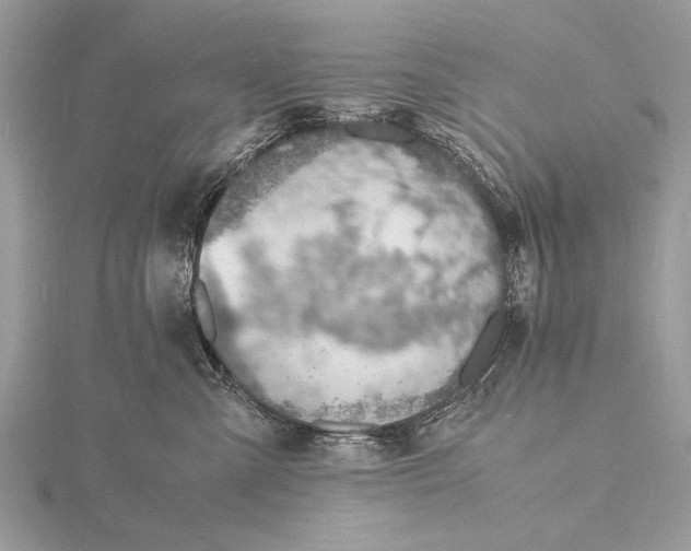 X0000116140427200912071247